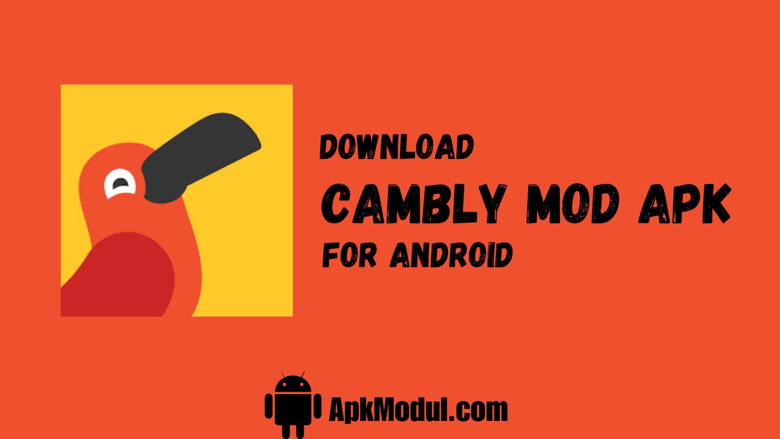 cambly App