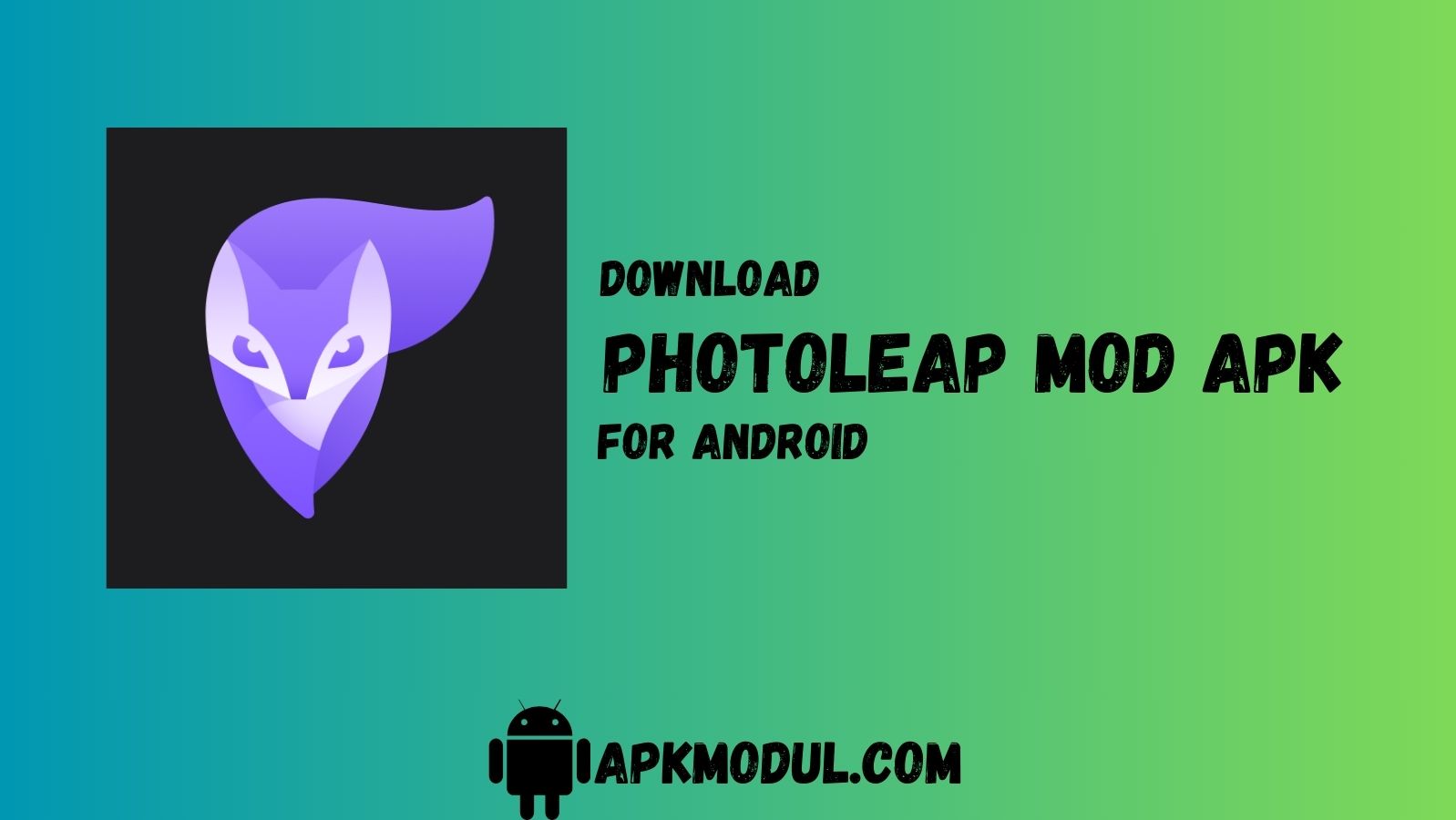 Photoleap APK