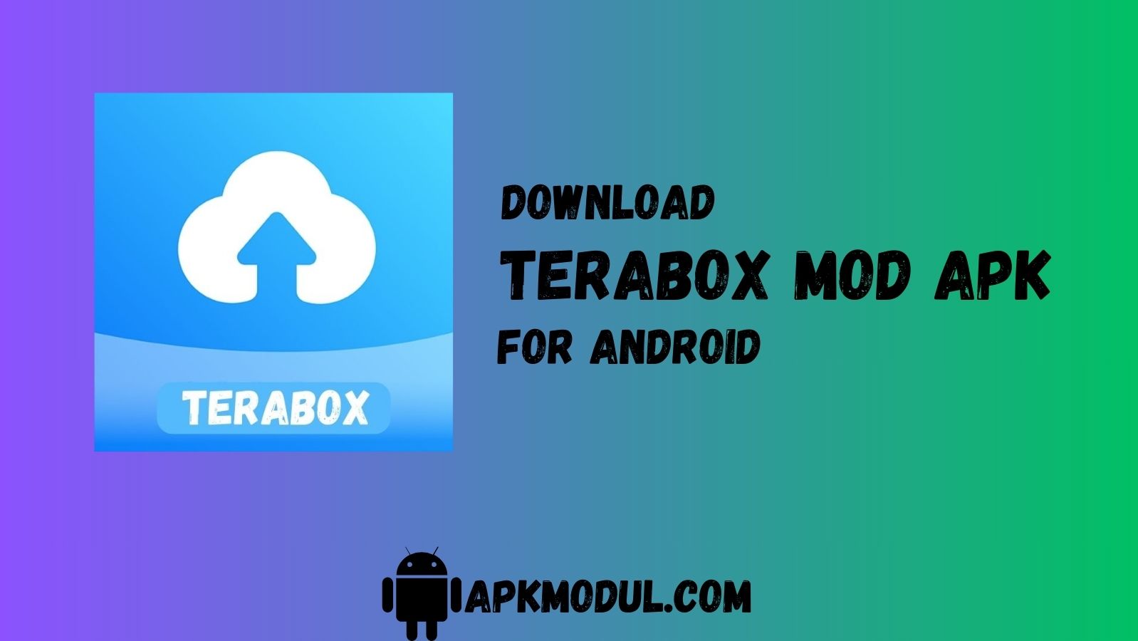 terabox apk