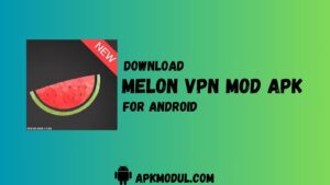Melon VPN MOD App 